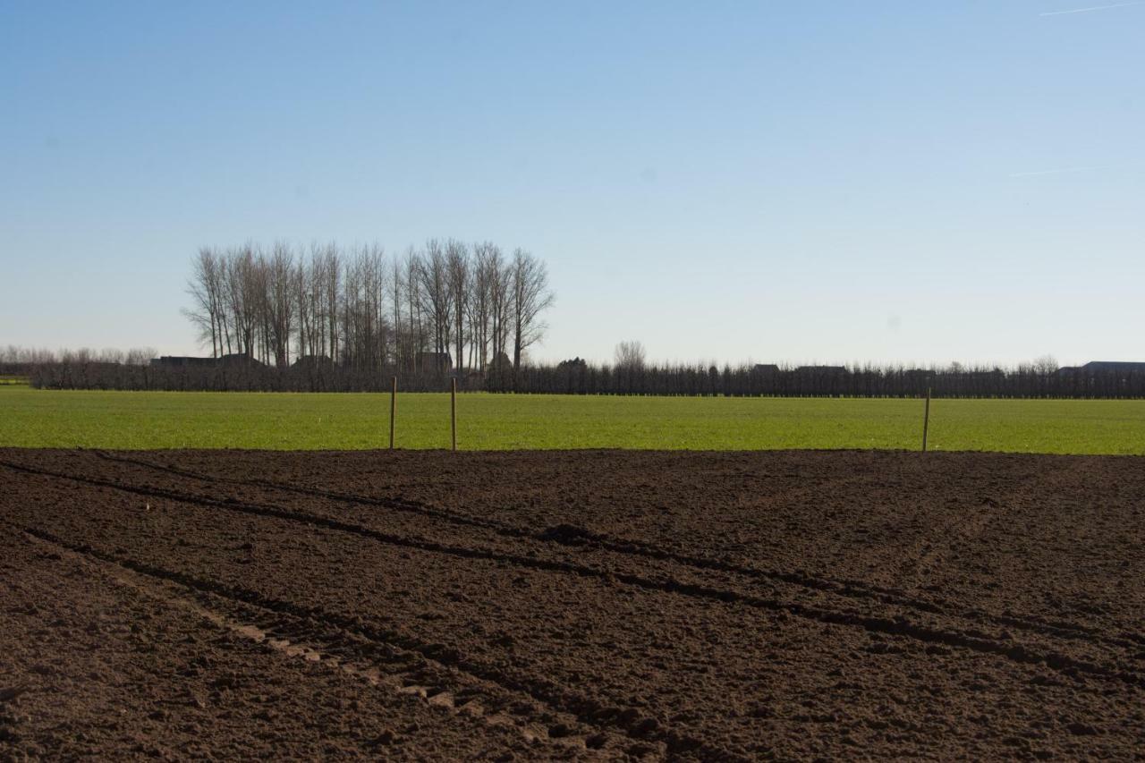 'Op De Borgt' Met Finse Grill Kota Wellen Exterior foto