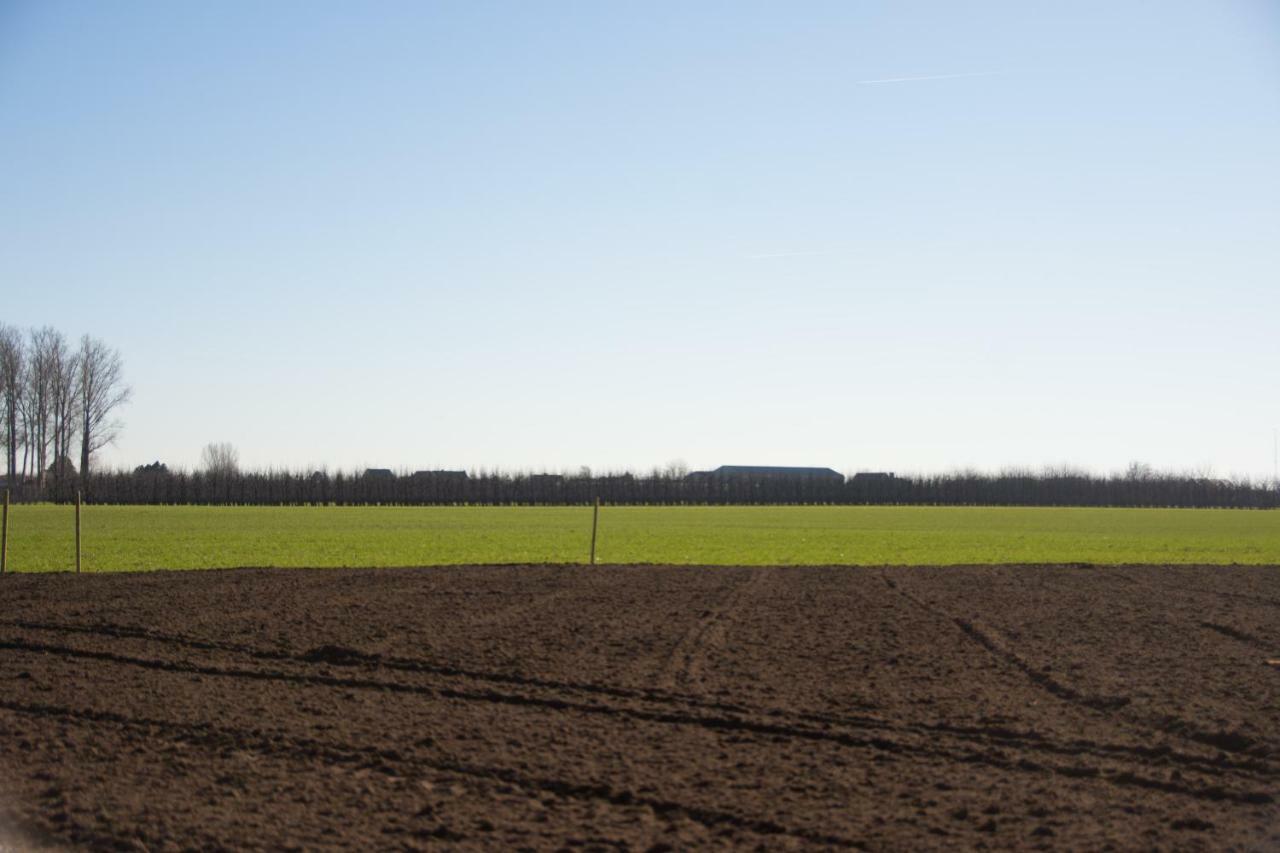 'Op De Borgt' Met Finse Grill Kota Wellen Exterior foto